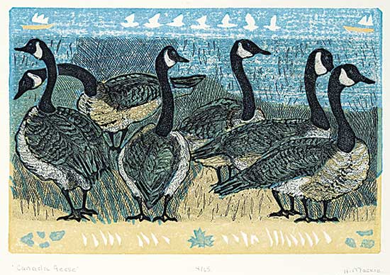#505 ~ Mackie - Canada Geese  #4/65