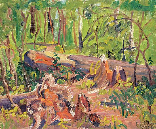 #530 ~ Pawson - Untitled - Forest Floor