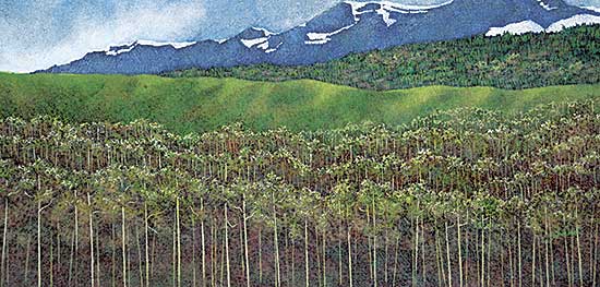 #560 ~ Sinclair - Saddle Mountain Spring