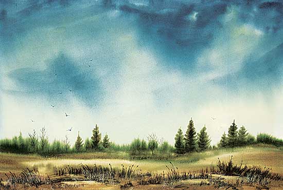#1014 ~ Blodgett - Untitled - Marshland Vista