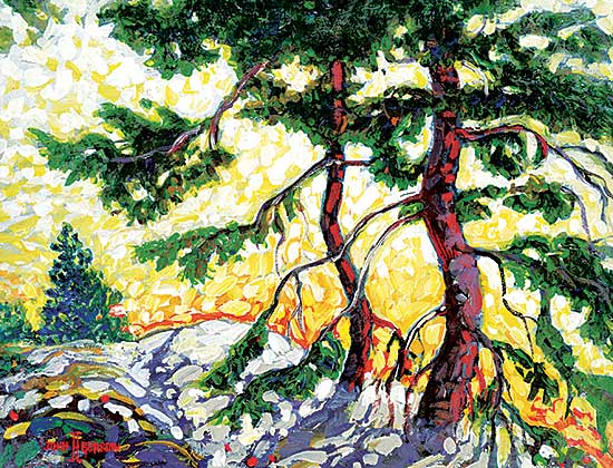 #1035 ~ Burrow - Needles Sunrise