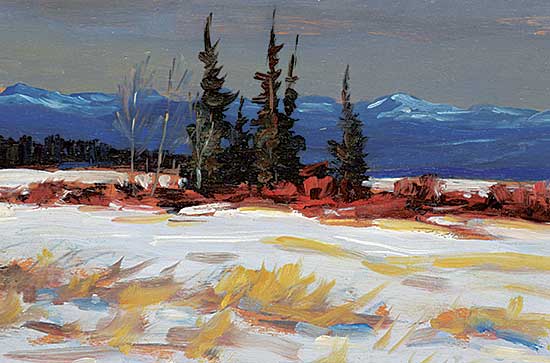 #1366 ~ Turner - Winter Spruce