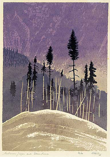 #1381 ~ Weber - Between Jasper and Blue River  #13/60