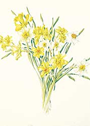 #1104 ~ Heine - Untitled - Daffodils