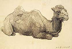 #1235 ~ Palmer - Untitled - Camel #1235 ~ Palmer - Untitled - Camel