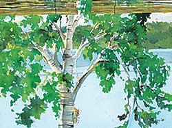 #1254 ~ Phillips - Untitled - Silver Birch through the Window