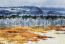 #1256 ~ Phillips - Untitled - Beginning Thaw #1256 ~ Phillips - Untitled - Beginning Thaw