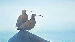 #1385 ~ Wiebe - Curlews on Pinnacle #1385 ~ Wiebe - Curlews on Pinnacle