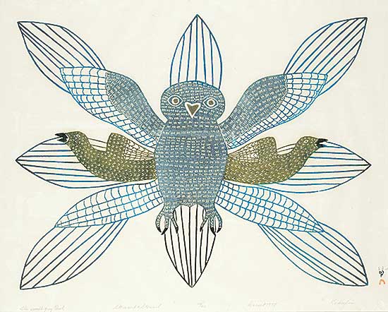 #138 ~ Kakulu - The Small Grey Owl  #42/50