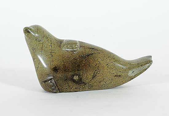 #156 ~ Kolola - Seal