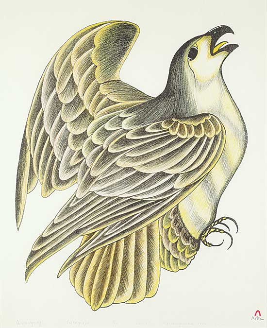 #187 ~ Pootoogook - Qinnuajuaq  #15/50