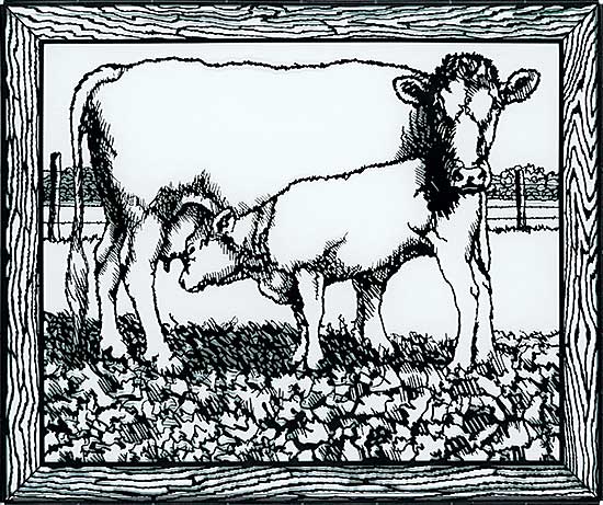 #28.1 ~ Fafard - Mid-July  #2/10