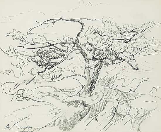 #71 ~ Lismer - Windswept Pine, Georgian Bay