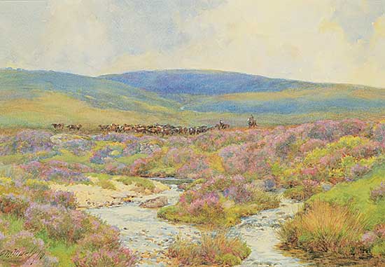 #75 ~ Manly - The Round Up