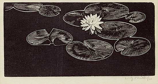 #107 ~ Phillips - Lily