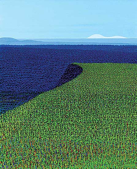 #206 ~ Eyre - Field Drop