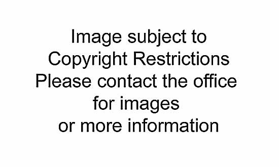 #234 ~ Riopelle - Affiche avant la lettre No. 142  #H.C.