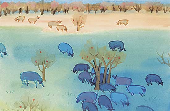 #439 ~ Graham - In Shadow