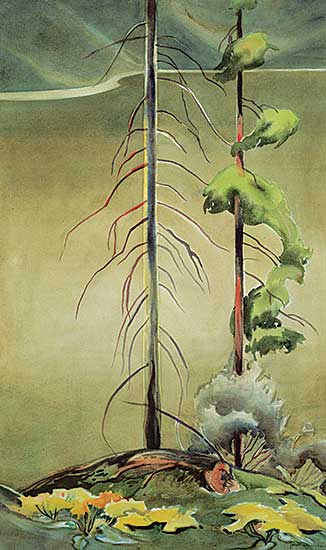 #457 ~ Middleton - Untitled - Tete Jeune