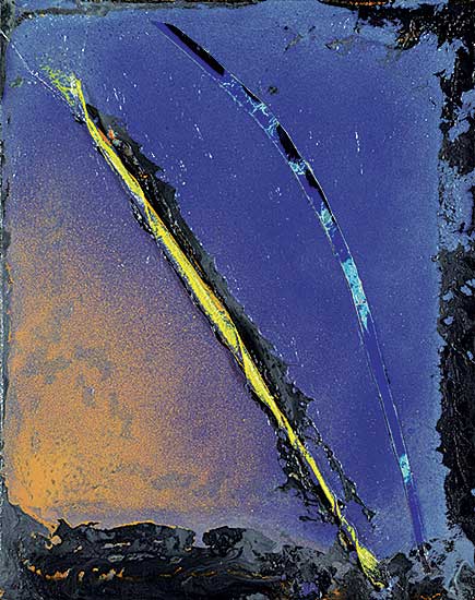 #469 ~ Peacock - Midnight Curve