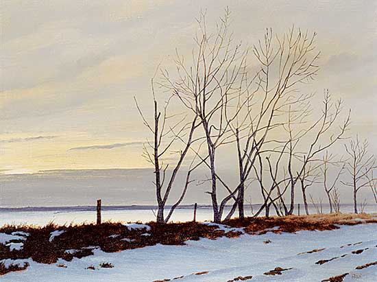 #474 ~ Raftery - Evening of the Storm