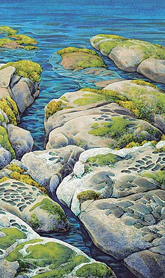 #492 ~ Thibault - At Southey Point