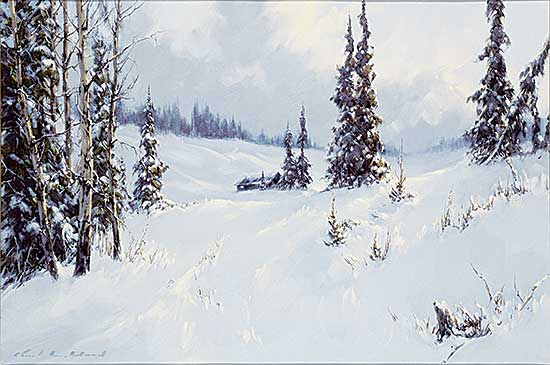 #497 ~ Wood - Grand Valley - After the Storm