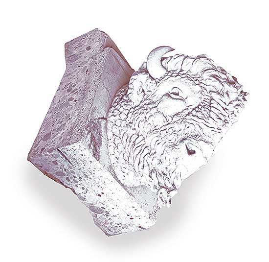 #501 ~ Heritage Calgary - Bison Head from Centre Street Bridge