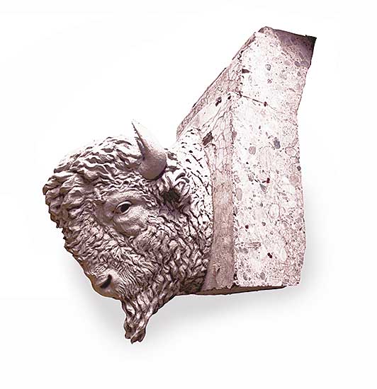 #502 ~ Heritage Calgary - Bison Head from Centre Street Bridge