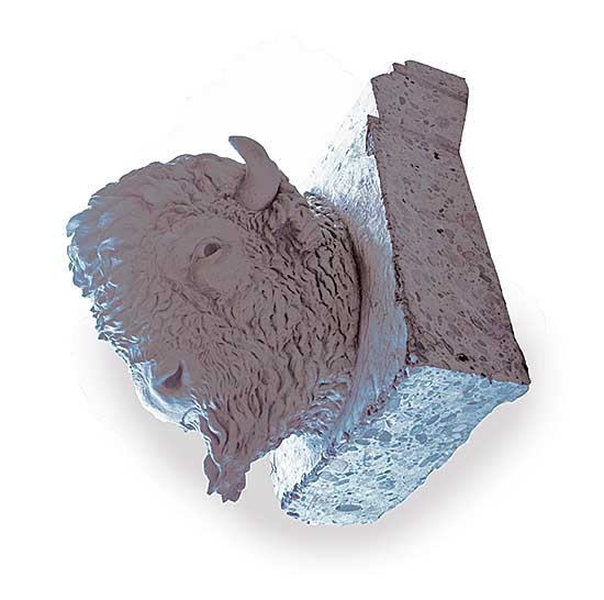 #504 ~ Heritage Calgary - Bison Head from Centre Street Bridge