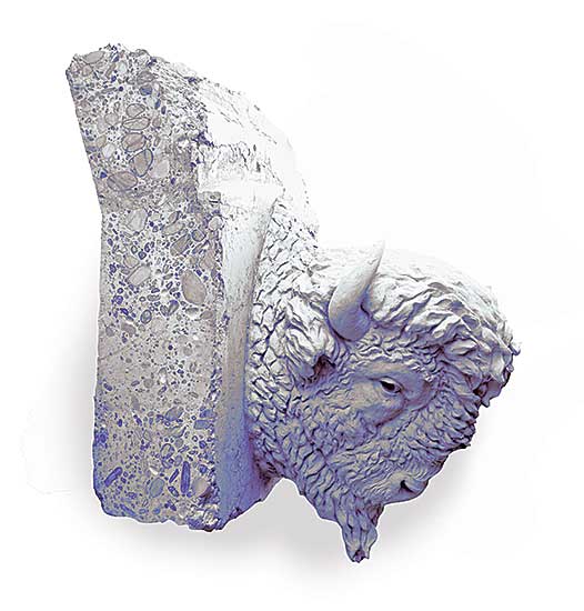 #505 ~ Heritage Calgary - Bison Head from Centre Street Bridge