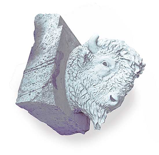 #506 ~ Heritage Calgary - Bison Head from Centre Street Bridge