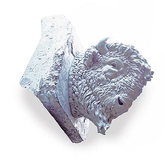 #507 ~ Heritage Calgary - Bison Head from Centre Street Bridge