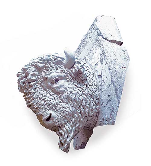 #508 ~ Heritage Calgary - Bison Head from Centre Street Bridge