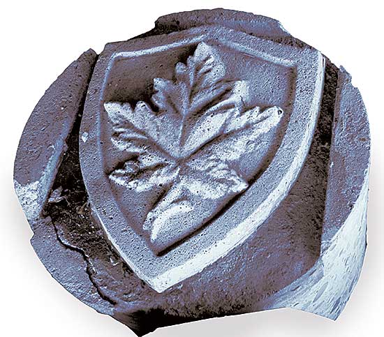 #513 ~ School - Maple Leaf Crest from Centre Street Bridge