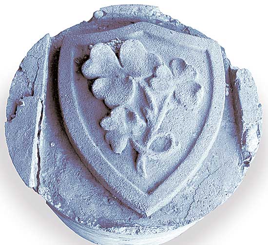 #515 ~ School - Irish Shamrock Crest from Centre Street Bridge