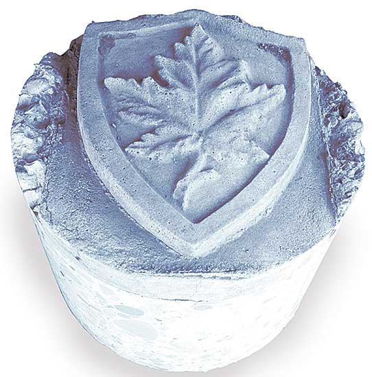 #517 ~ School - Maple Leaf Crest from Centre Street Bridge