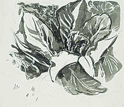 #70 ~ Lismer - Untitled - Skunk Cabbage Study