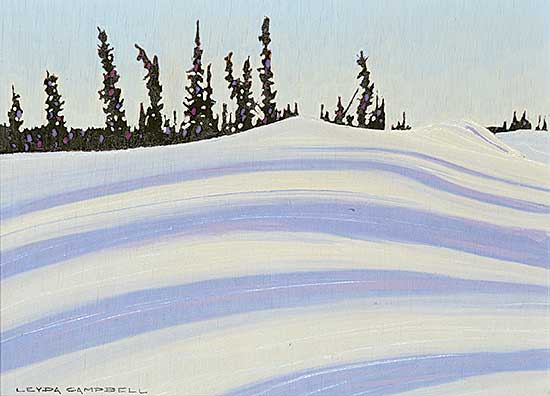 #1049 ~ Campbell - Snowbanks and Shadows