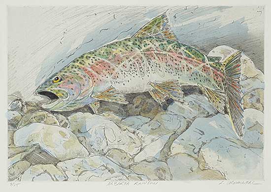 #1061 ~ Cromwell - Alberta Rainbow  #8/25