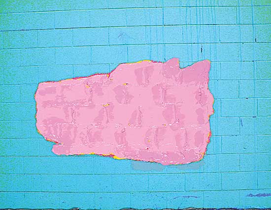 #1101 ~ Foxcroft - Pink Dog