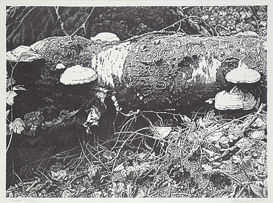#1187 ~ Lindner - Fungi #37/100