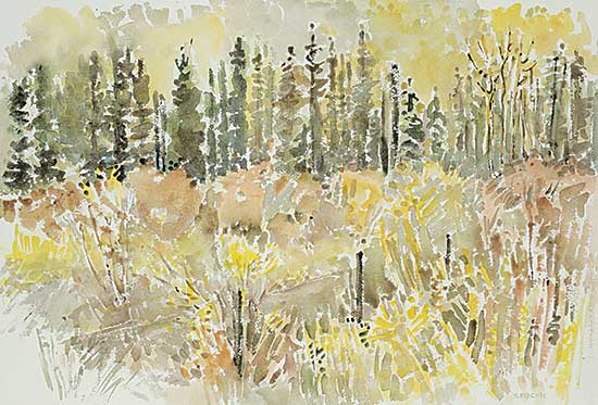 #1202 ~ Mackie - Foothills Trail