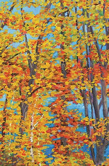 #1206 ~ Markowsky - Gatineau Fall