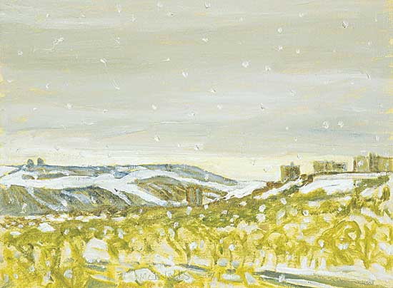 #1212 ~ McInnis - Snow in May