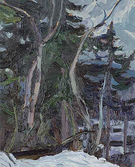 #1244 ~ Nix - Dead Cotton Wood Trees