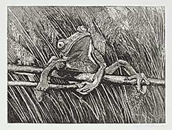 #1218 ~ Milke - Untitled - Frog in the Grass  #1/5