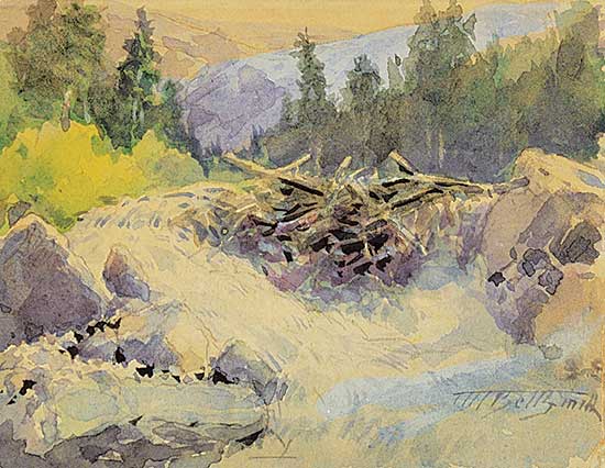 #5 ~ Bell-Smith - Glacier Cascade, Selkirks