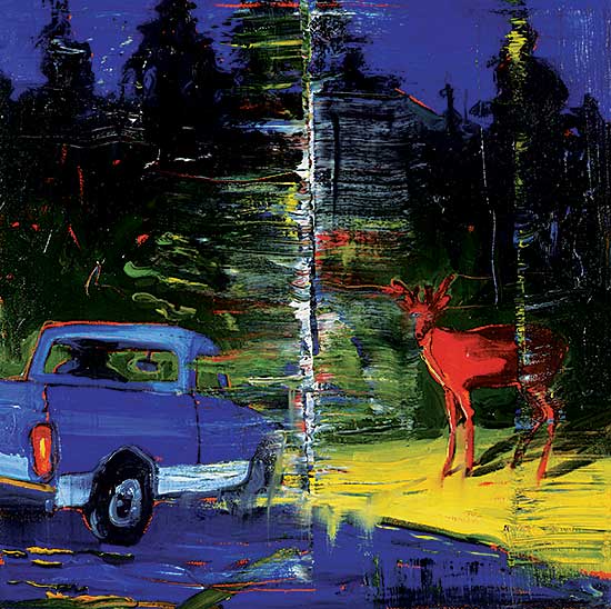 #9 ~ Cameron - Untitled [Deer in Headlights]