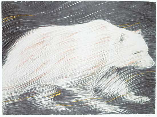 #10 ~ Campbell - Mangi [Spirit Bear]  #A/P VIII